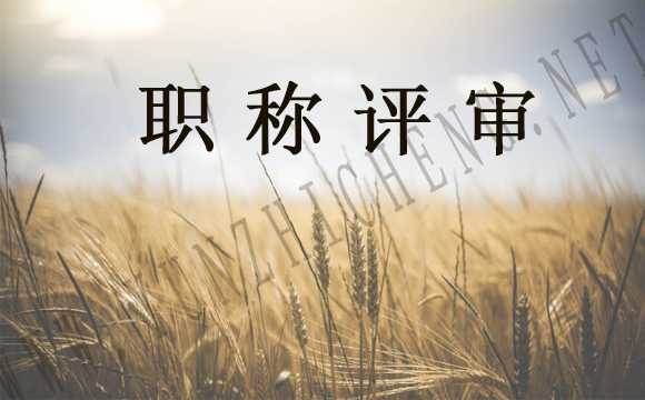 河北省工程系列粮食专业工程师申报评审条件